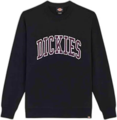 Immagine prodotto di Felpa Dickies DK0A4XABJ941 da Unisex