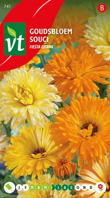 Obrázek produktu pro Semena měsíčku lékařského Fiesta Gitana - Přibližný počet semen 1,25 gr | VT_741