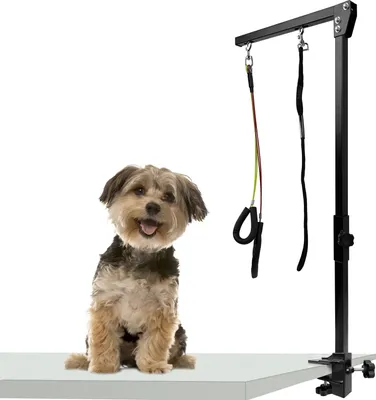 Obrázek produktu pro JOIEYOU Pet Grooming Arm with Clamp Foldable Hammock Výškově nastavitelné rameno pro péči o domácí mazlíčky Grooming Arm with Dog Grooming Loop and Two Holders without Sitting pro kočky a psy