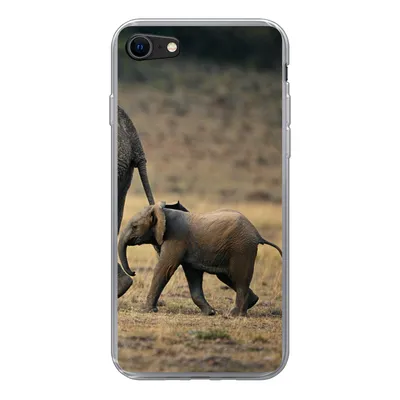 Produktbild von MuchoWow® Handyhülle Schutzhülle Hülle für iPhone SE 2020 Elefant - Tiere - Savanne - Natur Silikon Softcase Handy Hülle - Kartenbesitzer