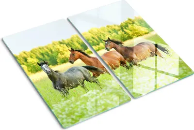 Imagen del producto de Cubierta para placa de cocina – Cubierta para placa de inducción – Placa de vidrio protectora – 2x30x52 cm – Placas de vidrio protectoras para estufas – Vidrio templado – Caballos galopando