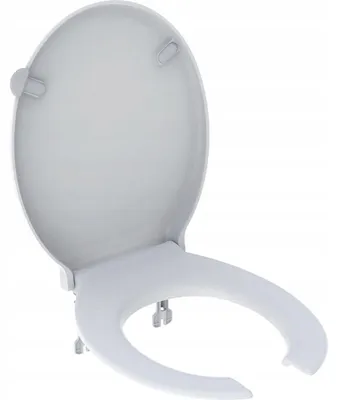 Produktbild von Geberit Selnova Comfort WC-Sitz Duroplast antibakteriell von oben