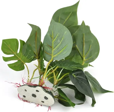 Imagen del producto de Planta artificial para acuario, color verde, 20 cm, decoración para acuarios