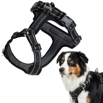 Image de Harnais Peluvio pour chien, harnais réfléchissant pour chien de garde
