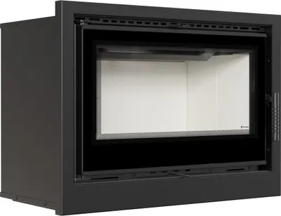 A black fireplace insert with a glass door is shown against a white background.