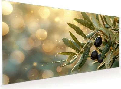 Produktbild von Küchenrückwand Spritzschutz Glas mit Motiv Olivenzweig 40 x 40 cm