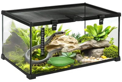 Produktbild von Terrarium - Reptilienterrarium 50 x 30 x 25 cm - Gehärtetes Glas - Thermometer - Wasserschale - Belüftung - Schwarz