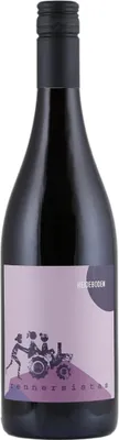 Produktbild von Rennersistas HEIDEBODEN 2022 | Rotwein | Österreich | 1 x 0,75 Liter
