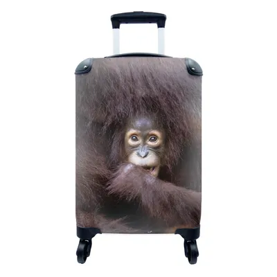 Produktbild von MuchoWow® Koffer Handgepäck Trolley Rollkoffer Kleine Reisekoffer mit 4 Rollen - Ein Orang-Utan mit seiner Mutter - Cabin Size < 55x40x23 cm & 55x40x20 cm - Fotokoffer - Kabinenkoffer - Boardgepäck - Reise-Box - Reisekoffer - Reisegepäck - Koffer mit Bild - Trolley für Kinder