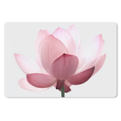 Produktbild von MuchoWow® Mauspad Mousepad Blumen - Rosa - Natur - Botanisch 27x18 cm - Mousepads - Maus Mat - Pad - Mausunterlage - Büroartikel - Desk Matten