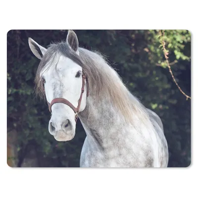 Produktbild von MuchoWow® Mauspad Mousepad Pferd - Halfter - Natur 40x30 cm - Mousepads - Maus Mat - Pad - Mausunterlage - Anti Rutsch