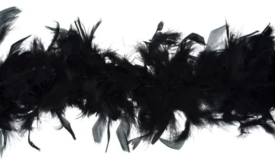 Federboa Schwarz 1,8 m x 12 cm – Partyaccessoire für Kostüme & Feiern