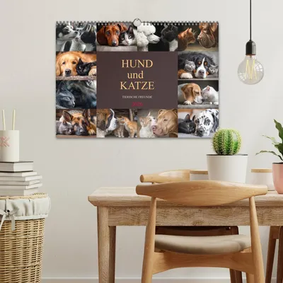 Produktbild von Hund und Katze - Tierische Freunde (Wandkalender 2026 DIN A3 quer), CALVENDO Monatskalender