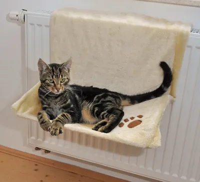 Produktbild von Silvio Design Katzen Heizkörperliege uni beige