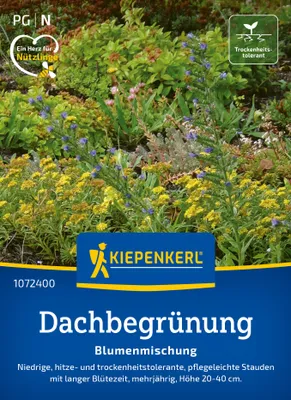 Artikelbild 2 von 'Blumen-Mischung Dachbegrünung & Trockenrasen'