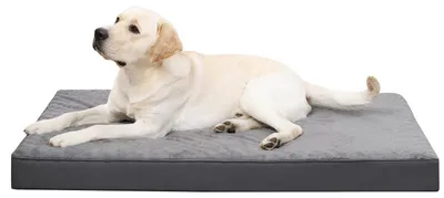 Produktbild von Orthopädisches Hundebett Waschbar XXL 119x73 cm Dunkelgrau