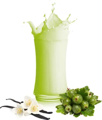 Produktbild von Vanille Stachelbeere Milchshake Pulver 10 kg