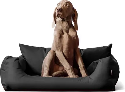 Produktbild von tierlando NEMO Hundebett Hundesofa S M L Hundekorb Katzenbett 65 80 100cm - Größe: 65x50cm | Farbe: 02 Graphit