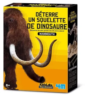 Immagine prodotto di DAM 5663236, 8 anni, Multicolore