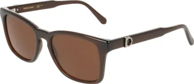 Produktbild von Ferragamo SF2086SE Transparent brown 55/19/150 Herren Sonnenbrillen
