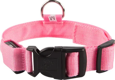 Produktbild von Hundehalsband Leuchthalsband Hund LED USB Aufladbar Akku Halsband Gr. S M L XL Farbe Pink - Aufladbar USB Größe Gr. L (41 - 52cm)