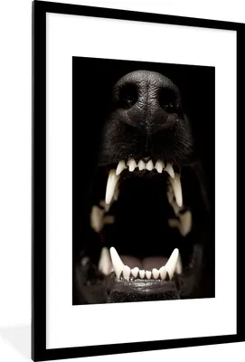 Produktbild von MuchoWow® MuchoWow® Gerahmtes Poster Nahaufnahme knurrender Hund 60x90 cm - Poster mit zchwarzem Bilderrahmen - Dekoration - Wandposter Wohnzimmer - Hochwertig