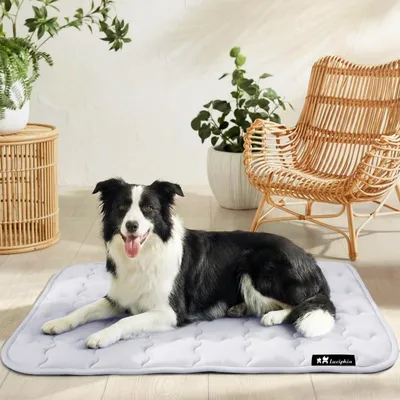 Produktbild von Kühlmatte für Hunde und Katzen, waschbare Tierliege