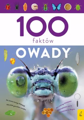 Image de 100 faktów o owadach - Książka edukacyjna dla dzieci