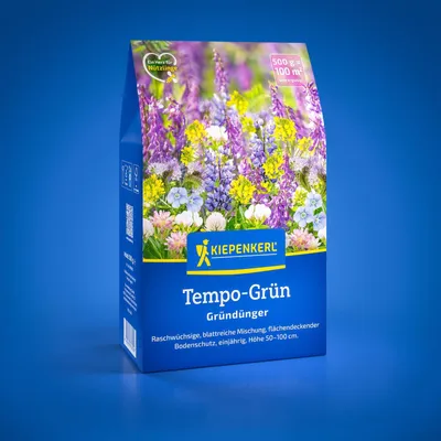 Produktbild von Kiepenkerl Rasensamen Tempo-Grün für 100 m² 0,5 kg