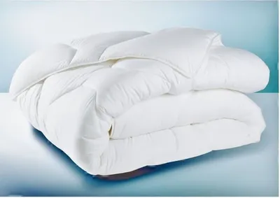 Produktbild von Mottenfeste Bettdeckenfüllung 350 g (220 x 240 cm)