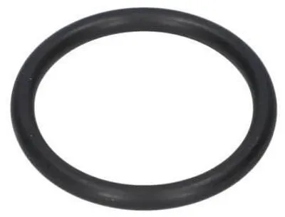 Immagine prodotto di O-Ring per Martello a percussione BOSCH PROFESSIONAL - 1610210210