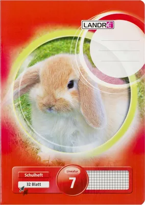 Produktbild von Schulheft A4 32 Blatt 80 g/qm Lineatur 2 (für alle Ausgangsschriften) Packung mit 10 Stück