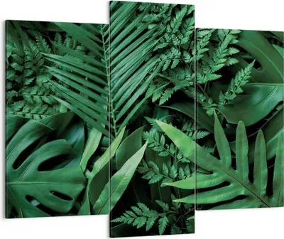 Produktbild von Bild auf Leinwand - Leinwandbild - 3 Teile - Exotisch Blätter Monstera - 130x100cm - Wand Bild - Wanddeko - Wandbilder - Leinwanddruck - Bilder - Wanddekoration - Leinwand bilder - CB130x100-4746