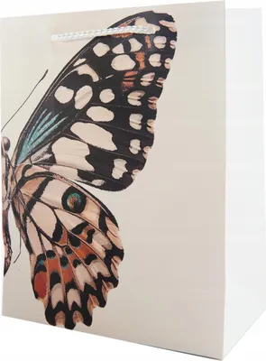 Zdjęcie produktu dla Motyl Torba Na Prezenty 18X23Cm Różne Kolory