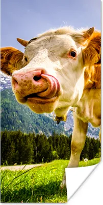 Produktbild von MuchoWow® Poster Kühe - Berge - Gras - Landschaft - Alpen 60x120 cm - Wandschmuck