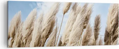 Produktbild von Bild auf Leinwand - Leinwandbild - Einteilig - Stock Himmel Boho - 140x50cm - Wand Bild - Wanddeko - Wandbilder - Leinwanddruck - Bilder - Wanddekoration - Leinwand bilder - Wandbild - AB140x50-4426