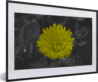 Produktbild von MuchoWow® Gerahmtes Poster Blumen - Aquarell - Löwenzahn 60x40 cm - Poster mit Schwarzem Bilderrahmen Wandposter Rahmen Foto Bilder - Schlafzimmer - Plakat in Rahmen - Drucken