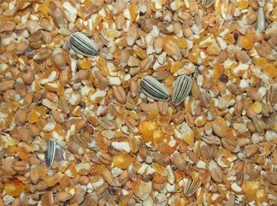 Produktbild von Wielink Freiland-Körnermischung – 20 kg