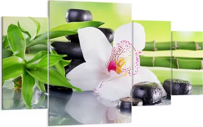 Produktbild von Bild auf Leinwand - Leinwandbild - blume orchidee - 160x90cm - Wand Bild - Wanddeko - Wandbilder - Leinwanddruck - Bilder - Kunstdruck - Wanddekoration - Leinwand bilder - Wandkunst - DL160x90-3659