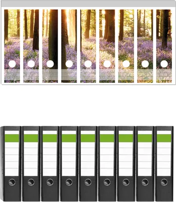 Produktbild von Wallario 9 Stück breite Ordner inkl. Klebeetiketten mit Motive Blaue Hasenglöckchen im Wald mit Sonnenstrahlen -  Set mit Rückenschildern / Ordnerrücken Stickern