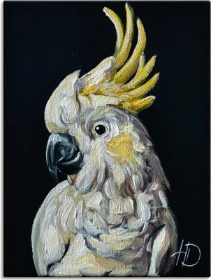 Produktbild von ARTland Leinwandbild Flugjuwel Größe: 60x80 cm
