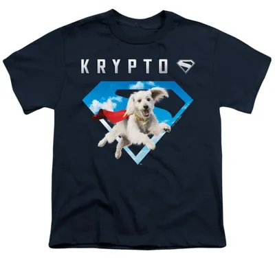 Produktbild von Superman - "2025" T-Shirt für Kinder, Logo TV36088 (152-158) (Marine)