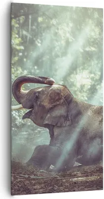 Produktbild von Bild auf Leinwand - Leinwandbild - Elefant Dschungel Stoßzahn - 65x120cm - Wand Bild - Wanddeko - Leinwanddruck - Bilder - Kunstdruck - Wanddekoration - Leinwand bilder - Wandkunst - PA65x120-3486