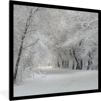 Produktbild von MuchoWow® Gerahmtes Poster Bäume - Schnee - Winter 40x40 cm - Poster mit Schwarzem Bilderrahmen Wandposter Rahmen Foto Bilder - Mit Rahmen - Wanddekoration Schlafzimmer