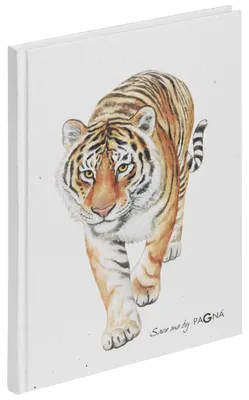 Produktbild von PAGNA Notizbuch "Tiger" DIN A5 dotted 64 Blatt