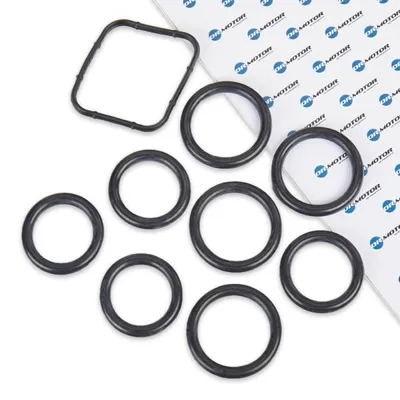 Produktbild von DR.MOTOR AUTOMOTIVE DRM027S Dichtungssatz Ansaugkrümmer für FORD Fiesta Mk6 Schrägheck (JA8, JR8) Fiesta Mk5 Schrägheck (JH1, JD1, JH3, JD3)