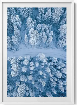 Produktbild von Wald aus der Vogelperspektive Drohne– Wandbild mit Rahmen – Gerahmtes Bild  – Wanddekoration – 70x100 cm –  Weiß Rahmen