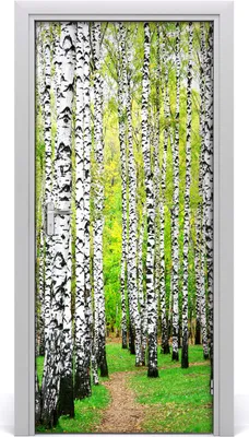 Imagen del producto de Adhesivo decorativo para pared, 95x205 cm. Adhesivo autoadhesivo, impermeable, tipo papel tapiz, removible. Ideal para dormitorios, salones y decoración del hogar. Marca: Birkenwald