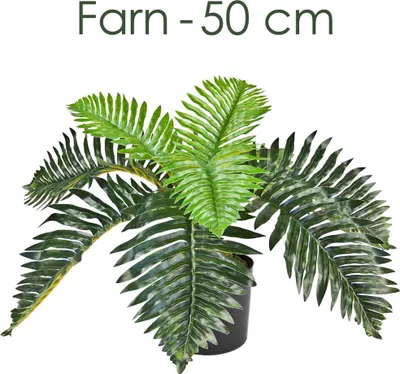 Immagine prodotto di Palmier Palma Plante Artificielle Artificiel 50cm Decovego