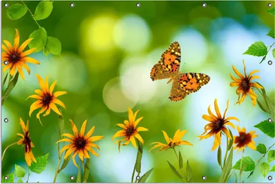 Produktbild von Wallario Outdoor-Poster für Garten oder Balkon, Motiv Blumen mit Schmetterling, in ca. 120 x 180 cm